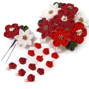  l U  2_Zbg   l  񂴂  Ǝ tH[}   ܂ݍ׍H ߂ uC_ W  No.7004 m857@WSi