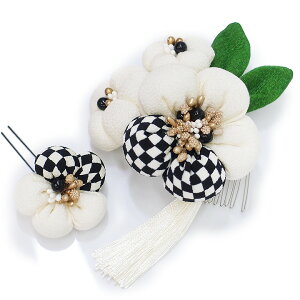  l U  2_Zbg    s l  񂴂  Ǝ tH[}  ԏ ܂ݍ׍H ߂ W65 W304-391   m958@WSi