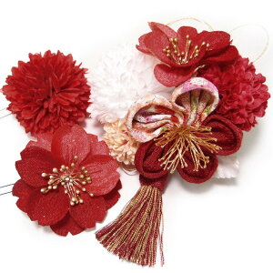 yyVX[p[Sale 20%offz l U  3_Zbg ~  e  l  񂴂  Ǝ tH[}   ܂ݍ׍H ߂  uC_ W88 No.1609 m859@WSi