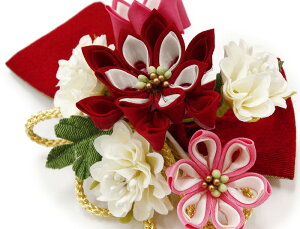  l U   2_Zbg  sN { ܂ݍ׍H 񂴂   a ߂ ÓT g a Ǝ    sc2959@WSi