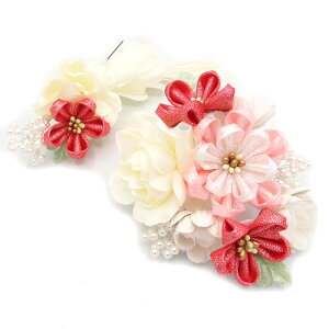  2_Zbg   ܂ݍ׍H p[r[Y l  a   U  ܎O q  Ă΂ Ǝ w wAANZT[ wAR[  傫 { 