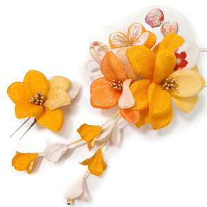  l U  2_Zbg F l  񂴂  Ǝ tH[}  ԏ ܂ݍ׍H ߂  uC_ W  No.1619  m860@WSi