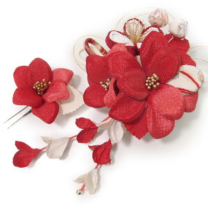  l U  2_Zbg  l  񂴂  Ǝ tH[}  ԏ ܂ݍ׍H ߂  uC_ W  No.1619  m861@WSi