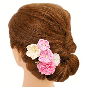  l U  3_Zbg sN l  񂴂  Ǝ tH[}  ԏ ܂ݍ׍H ߂@CXg[  W28 W293-286  sN o762@WSi