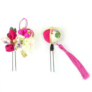  l U   2_Zbg sN ܂ݍ׍H ʏ  w   Ǝ ܎O 753 uC_ OB a { 񂴂 lC tH[}  ԏ  [