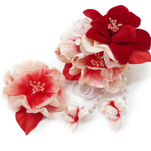  l U  2_Zbg m b  l  񂴂  Ǝ tH[}  ԏ p[ uC_ W68 No.1507 m865@WSi