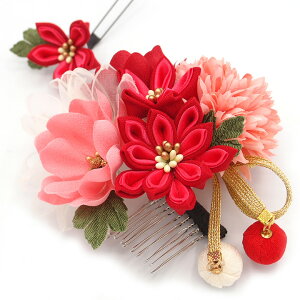  2_Zbg  ܂ݍ׍H _A l  a   U  hX ܎O q  Ă΂ Ǝ w wAR[  wAANZT[ 傫 {  