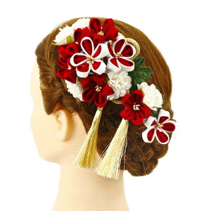  l U  Ǝ   .3_Zbg    a m 񂴂   ܂ݍ׍H ߂tH[} ԏ ʏ uC_ W 88 304-330   p766@Si