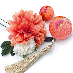  l U  3_Zbg sN l  񂴂  Ǝ tH[}  ԏ ʏ ܂ݍ׍H ߂ W28 W303-263  sN n767@WSi