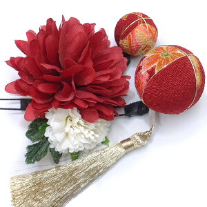  l U  3_Zbg  l  񂴂  Ǝ tH[}  ԏ ʏ ܂ݍ׍H ߂ W28 W303-263   n768@WSi