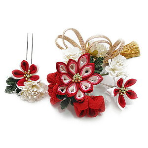  l U  Ǝ   2_Zbg    a m 񂴂   ܂ݍ׍H ߂tH[} ԏ ʏ uC_ W88 304-355   p768@Si