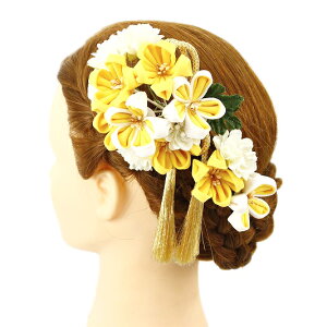  l U  Ǝ   3_Zbg    a m 񂴂   ܂ݍ׍H ߂tH[} ԏ ʏ uC_ W 88 304-330   p769@Si