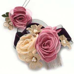  2_Zbg sN { p[ l  a   U  hX ܎O q LbY Ă΂ Ǝ w R[  wAANZT[ 傫 { 