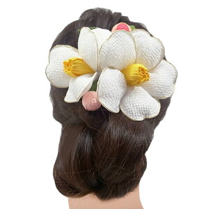  l U   F  l  񂴂  Ǝ tH[}  ԏ ܂ݍ׍H { ߂ uC_ W  1141  m870@WSi