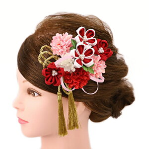  l U  Ǝ   2_Zbg  sN   a m 񂴂   ܂ݍ׍H ߂tH[} ԏ ʏ uC_ W 75 304-245  sN  p770@Si