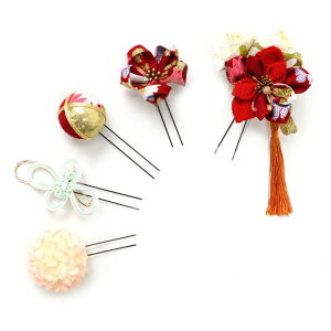  5_Zbg F l  ܂ݍ׍H ߂  a   ܎O Ǝ w wAANZT[  { o^C NX}X a IW  W 48 