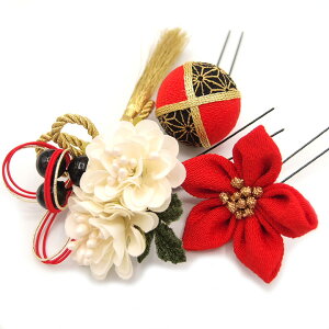  l U  3_Zbg  l  񂴂  [ Ǝ tH[}  ԏ ʏ ܂ݍ׍H ߂ W28 W 323-260  GW u876