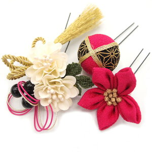  l U  3_Zbg sN l  񂴂  [ Ǝ tH[}  ԏ ʏ ܂ݍ׍H ߂ W28 W 323-260  [Y u877