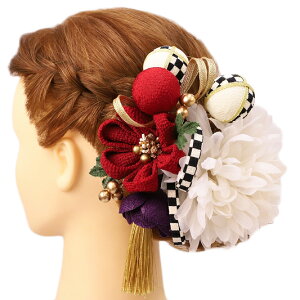  l U  2_Zbg    l  񂴂  Ǝ tH[}  ԏ ʏ ܂ݍ׍H ߂  W22 W304-362     o779