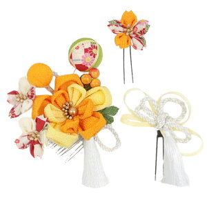  3_Zbg F l  ܂ݍ׍H ߂ k a   U  ܎O LbY  Ǝ w wAANZT[  {  NX}X a hqF