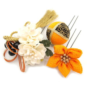  l U  3_Zbg F l  񂴂  [ Ǝ tH[}  ԏ ʏ ܂ݍ׍H ߂ W28 W 323-260  hqF u880