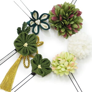   l U  6_Zbg  l 񂴂  Ǝ tH[}  ԏ ܂ݍ׍H ߂ uC_ W43  303-231  m883@WSi