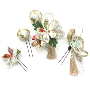  4_Zbg  l  ܂ݍ׍H ߂  a   ܎O Ǝ w wAANZT[  {  a o^C NX}X V W 78 324-302 u