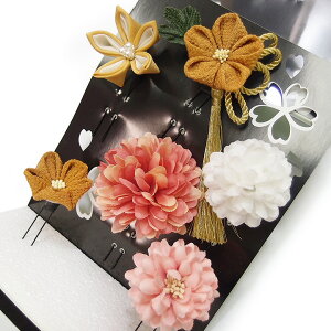   l U  6_Zbg F l 񂴂  Ǝ tH[}  ԏ ܂ݍ׍H ߂ uC_ W43  303-231 炵F m884@WSi