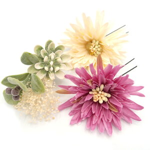  l U   3_Zbg   w   Ǝ ܎O 753 uC_ OB a {  񂴂 tH[}  ԏ K[x lC  TL W 28 3