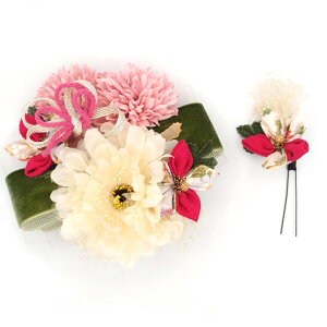  2_Zbg sN  l  { ܂ݍ׍H ߂ a    ܎O Ǝ w wAANZT[  { o^C NX}X a  