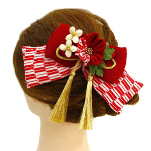  l U  Ǝ   {  @H  a m 񂴂   ܂ݍ׍H ߂tH[} ԏ ʏ uC_ W 48 304-205 o791@Si