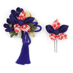  2_Zbg  l  ܂ݍ׍H ߂ k a   U  ܎O LbY  Ǝ w  { NX}X a  wAANZT[ TL