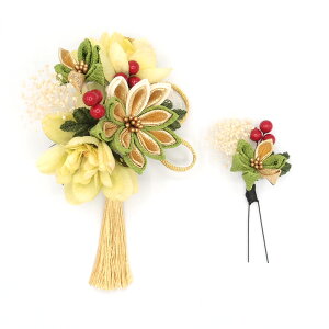  2_Zbg  l  ܂ݍ׍H ߂ k a   U  ܎O LbY  Ǝ w  { NX}X a  wAANZT[ O[