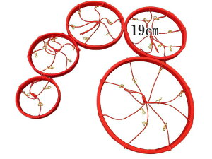 邵p@߂񃊃O@4ԁ@a19cm@ԁ@TR-600-19RD d795