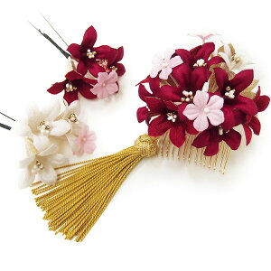  l U  3_Zbg  sN ItzCg l  񂴂  Ǝ tH[}  ԏ ܂ݍ׍H { ߂ uC_ W88  No.1241 m895@WSi