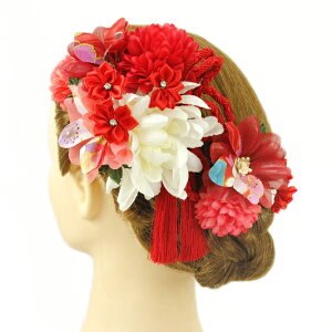  l U  Ǝ   2_Zbg    a m 񂴂   ܂ݍ׍H ߂tH[} ԏ ʏ uC_ W 68 304-3831  p798@Si