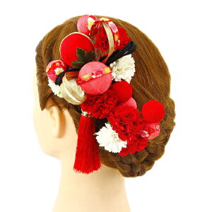  l U  Ǝ   2_Zbg    a m 񂴂   ܂ݍ׍H ߂tH[} ԏ ʏ uC_ W 65 304-227   p799@Si