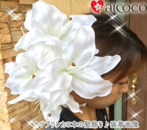   JTuJ l S   Ǝ  U 3{ Zbg   a Ǝ   w l  a EFfBO wAANZT[ wbhhX