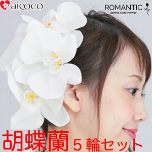 Ӓ 5_Zbg Ǝ 萬l Ӓ   Ǝ  U JTuJ 3_Zbg߂⒅̘aɁB Ǝ   w l  a EFfB