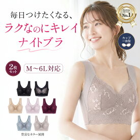 ナイトブラ 2枚セット 昼夜兼用 育乳ブラ ノンワイヤー ブラジャー 一体型カップ 脇高 補正 小胸 大きいサイズ LL 3L 苦しくない 締め付けない aicoco