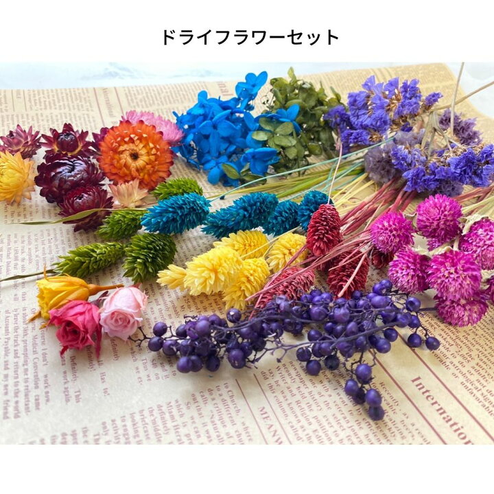 楽天市場】ハーバリウム 花材 セット 詰め合わせ プリザードフラワー 