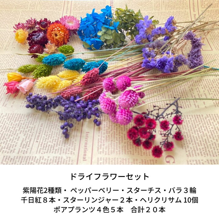 楽天市場】ハーバリウム 花材 セット 詰め合わせ プリザードフラワー 
