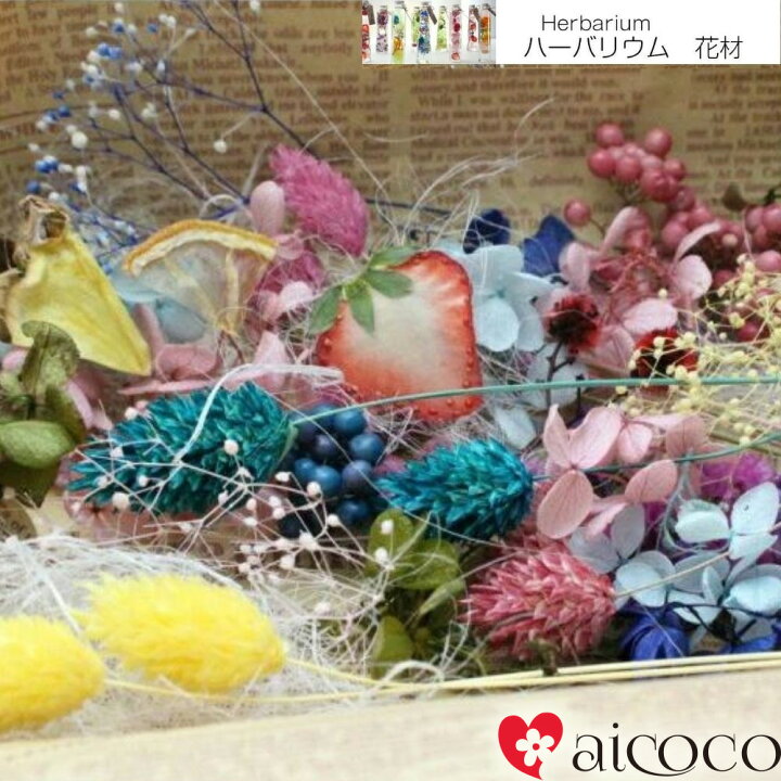 楽天市場】ハーバリウム 花材 セット 詰め合わせ プリザードフラワー 