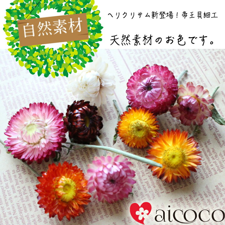 楽天市場 千日紅 ドライフラワー ハーバリウム 花材 ６グラム ヘリクリサム 帝王貝細工 花 ハンド キット セット詰め合わせ 手作り ハーバリウム ハーバリウム ハーバリューム ハーバリュウム ハーバーリューム 夏休み 自由研究 Sk P1 Romantic
