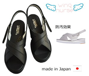 LCR[g@X^_[hNXT_@@fBXT_@i[XEItBXT_@hn@@pT_@Xbp@hہ@hL@{@󂠂菤i@AE