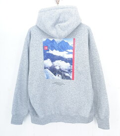 THE NORTH FACE 30th NUPTSE SWEAT HOODIE size：XL ザ・ノース・フェイス 30周年 ヌプシ スウェット フーディー パーカー グレー ノースフェイス NT62234 ゴールドウイン