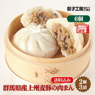 群馬県産上州麦豚の肉まん6個 (2個×3袋) 冷凍肉まん 冷凍 冷凍食品 【レンジ調理可能】 肉まん にくまん…