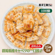 群馬県産キャベツの一口餃子 100個 (25個×4袋) 冷凍餃子 餃子 冷凍 冷凍食品 【上州麦豚使用】 餃子 ぎ…