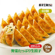 野菜たっぷり生餃子 60個 (20個×3袋) 冷凍餃子 餃子 冷凍 冷凍食品 【にんにく不使用】 餃子 ぎょうざ …