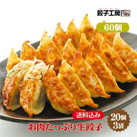お肉たっぷり生餃子 60個 (20個×3袋) 冷凍餃子 餃子 冷凍 冷凍食品 【にんにく不使用】 餃子 ぎょうざ …